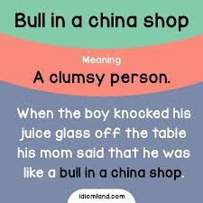 Idiom of the day: Bull in a china shop. Meaning: A clumsy person. Example:  When the boy knocked his j… | English vocabulary words, English idioms,  English phrases