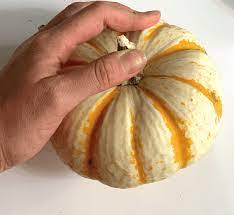 The volume share for dried pumpkin is credited to its common use in foodservice in bakery items, soups, smoothies, and other items. How To Dry Out Pumpkin Stems Quickly A Well Purposed Woman
