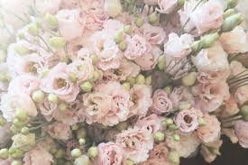 20% off all items · from $19.99 · same day delivery Belle Blooms Farm