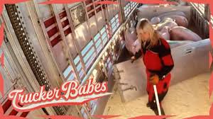 + add or change photo on imdbpro ». Lissy Reiterer Erzahlt Uns Mehr Uber Ihre Pink Lady Trucker Babes Kabel Eins Youtube