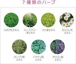 刺激を保護 7種のハーブ 1 拭き取り化粧水アンシエルくすみ カサカサ ザラつきなど古い角質による肌トラブルケアに