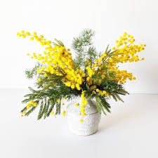 We did not find results for: Happy International Women S Day Sorry Not Sorry For The Mimosa Spam But It S My Favorite Support The Women In Your Life Today And Everyday