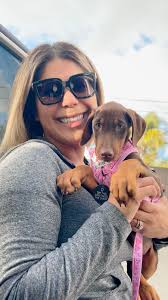 Where's a good place I can get my pups ears cropped?