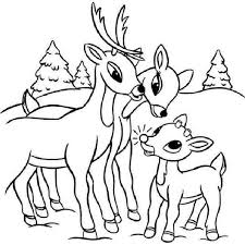 The child will definitely be pleased with pictures of cute animals, one look at which is tender. Free Deer Pictures Coloring Home