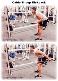 We did not find results for: Cable Tricep Kickbacks Is A Great Exercise For Isolating The Triceps And Give It A Strong Contraction At The Top Position Cable Tricep Kickback Tricep Kickback