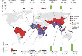 Maybe you would like to learn more about one of these? Plasmodium Malariae And P Ovale Genomes Provide Insights Into Malaria Parasite Evolution Nature
