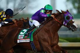 California Chrome Back For San Diego Try Horse Racing News
