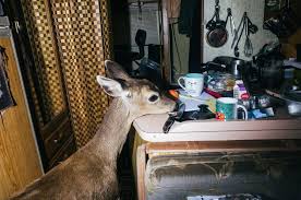 Interview with Kyle Souder