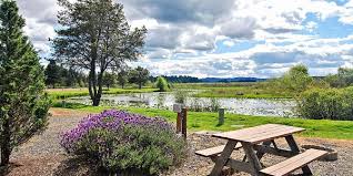 Silver cove resort in silverlake is rated 8.3 of 10 at campground reviews. Silver Cove Rv Resort Updated Prices Reviews Photos Silver Lake Wa Campground Tripadvisor