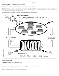 Rewrite the respiration equation using both symbols and words. Photosynthesis And Respiration Model