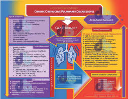 Jak co roku mieszkańcy leska mogli świętować nadejście nowego roku na leskim rynku. Chronic Obstructive Pulmonary Disease Copd Gas Exchange Concept Map Deanne Blach Db Productions