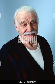 CityExpress, Fernsehserie, Deutschland 1999, Darsteller: Ferdinand Dux  Stock Photo