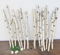 Birch Branches For Sale Near Me White Birch Branches 6 Thin Birch Sticks Real Birch Twigs Natural Decor Forest Supplies Nature Decor Birch Branches Branch