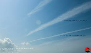 Tempat tumbuhnya berada pada ketinggian. Awan Telok Kemang Observatory