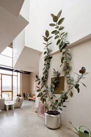 Plantes Geantes Dans La Maison Une Jungle D Interieur Planter Des Arbres Arbre Deco Arbre Deco Interieur