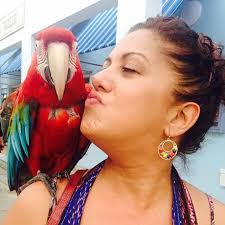 Amazon.com: Christ and the Marginalized: Bringing Refuge to the Broken:  9781666701722: Hernandez, Elizabeth: ספרים