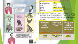 Tabiat pemakanan haiwan sains tahun 3 esains sk. Sains Tahun 3 Pengelasan Haiwan Esains Sk Youtube
