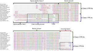 Allt för en roligare och nytt nummer av stammis på ica. In Silico Prediction Of Active Site And In Vitro Dnase And Rnase Activities Of Helicoverpa Inducible Pathogenesis Related 4 Protein From Cicer Arietinum Sciencedirect