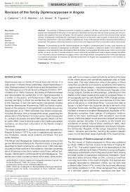 Image result for Monotes hypoleucus