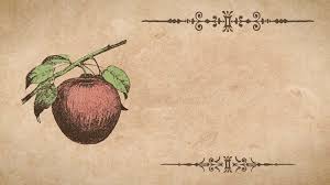 Kostenlose rezepte für viele hauptspeisen, vorspeisen. Apple Rezeptvorlage Kostenlose Hd Clips Archiv Videomaterial Bei Videezy