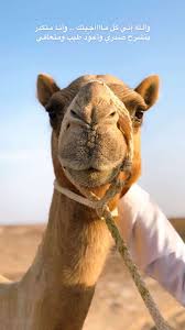 رمزيات in 2021 pretty girls selfies profile picture girls selfies