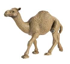 Sign up for free today! Buy Safari Ltd Dromedary Camel Online At Low Prices In India Amazon In