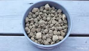 Stella Chewys Raw Blend Dog Food Review 2018 Video Analysis