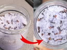 Diy Salt Water Solution For Piercings - Exact Water To Salt Ratio! - Youtube