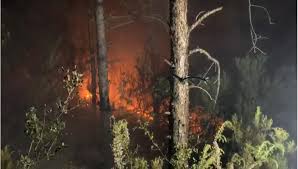 Bir müddet yüzen 3 kişiden ahmed m. Aydos Ormani Nda Yangin Ntv