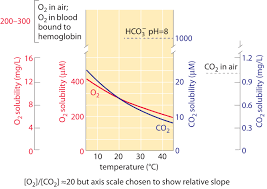 What Are Environmental O2 And Co2 Concentrations