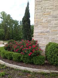 Pin By April On Gardens Front Yard Landscaping Front Landscaping Lawn And Garden