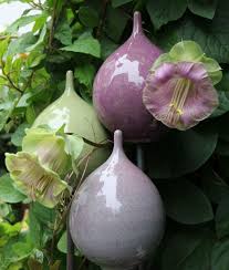 Speere Im Herbst Topferei Tecklenburg Gartenkunst Gartendekoration Gartengestaltung Ideen