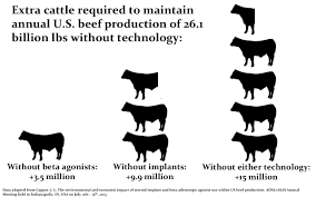 This Diagram Shows How Important Technology Is In The Livestock Industry Especially With The Rapidly Increasing Population Cattle Livestock Growth Hormone