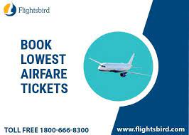 Aus To Bos Flights Search And Book Cheap Flights Ticket From Austin To Boston Find Our Best Fares And Book You Cheap Flights Airfare Deals Book Cheap Flights