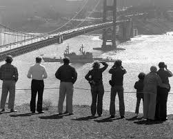 Image result for White 1981 Fleet