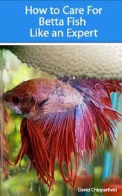 How To Care For Betta Fish Like An Expert Aquarium And Turtle Mastery By David Chipperfield Http Www Amazon Com Dp B007byocma Ref Cm Betta Fish Fish Betta