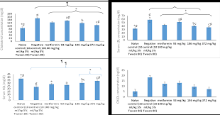 Image result for Diaphananthe bidens
