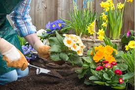 12 tips for a more sustainable garden | Moginie James
