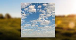 Walter B. Stiles Obituary May 18, 2013