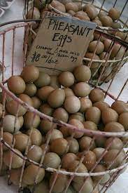 Pheasant Eggs Pheasant Eggs Raising Pheasants Pheasant Farm