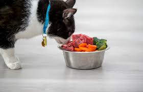 Fruit could help if your cat has a digestive issue. Which Table Foods Can Cats Eat Lovetoknow