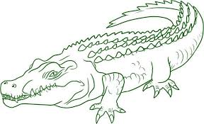 Aggresive animal crocodile coloring page to color, print and download for free along with bunch of favorite crocodile coloring page for kids. Vector The Crocodile Coloring Pages Crocodile Coloring Pages Coloring Pages How To Draw A Crocodile