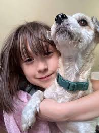 Found in Wanda Park. Anyone with information please contact Sterling  Heights Animal Control. Desperate for family. .