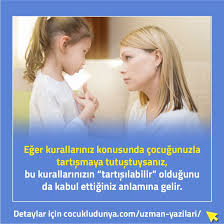 Uzman Gorusleri Panosundaki Pin
