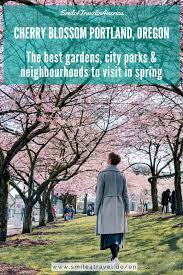 If you're a homeowner in portland, planting a tree can be a great investment. Cherry Blossom In Portland Top Spots For Early Spring Flowers