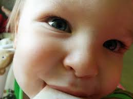 Our boy Acorn, now 19 years old