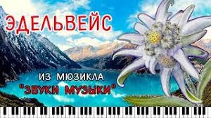 «звуки музыки» — это старый бродвейский мюзикл, который, как и многие другие был экранизирован (режиссёр: Myuzikl Zvuki Muzyki Edelvejs Krasivaya Melodiya Na Pianino Youtube