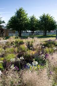 The One Show Garden By Alexandra Noble Photo Credit Marcus Harpur Chelsea Flower Show Plants Garden