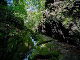 御岳山～大岳山：ロックガーデンと滝を巡る | 山と水