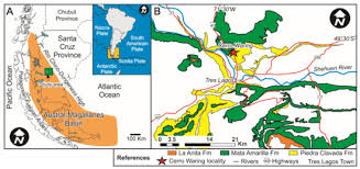 Image result for Mohria marginalis